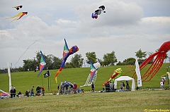 Venice kite festival_0504